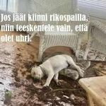 se_oli_joku_muu.jpg