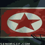 secret_north_korean_rocket_launch.gif
