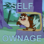 selfownage.jpg