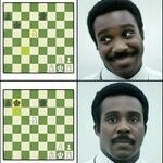 shakki6.jpg