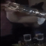shotteja.gif
