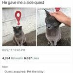 sidequest.jpg