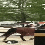 sina_jaat_siihen_t_heppa.gif