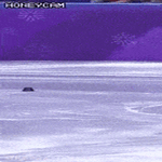 sinaki_kaadut.gif