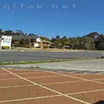 skateboard_cat.gif