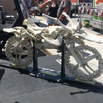 skeleton_bike.jpg