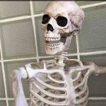 skelfie.jpg