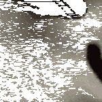 small_catron_collider.gif