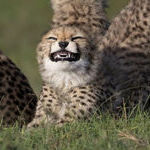 smiiile_16.jpg