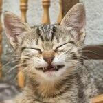 smile_now.jpg