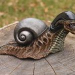 snail7.jpg