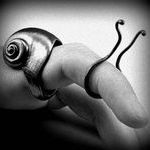 snail_ring.jpg