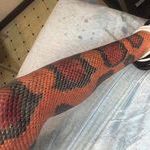 snakeskintattoo2.jpg