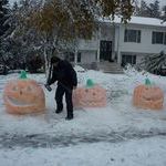 snow_pumpkins.jpg
