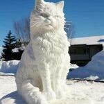 snowcat4.jpg