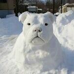 snowdog4.jpg
