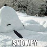 snowpy.jpg