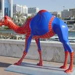 spiderman_camel.jpg