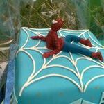 spidermancake4.jpg