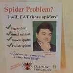 spiderproblem.jpg