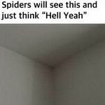 spiders5.jpg