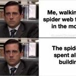 spiderweb5.jpg