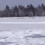 spinnnn.gif