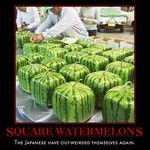 square_watermelons.jpg