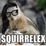 squirrelex.jpg