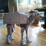 star_wars_dog.jpg