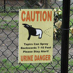 stay_safe_and_have_pun_at_the_zoo.jpg