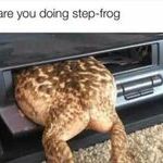 stepfrog.jpg