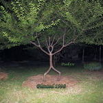 stickman_tree.jpg