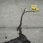 street_art46.jpg