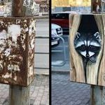 streetart_raccoon.jpg