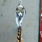 streetartcat.jpg