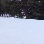 sukset_jäi.gif