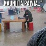 suomen_kesä.jpg