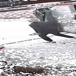 suoraan_munille.gif