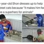 superhero_for_animals.jpg