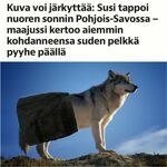 susi.jpg