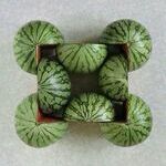symmetria2.jpg