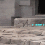syomaaaan5.gif