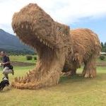t_rex_made_out_of_straw_in_japan.jpg