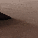taalla_mitaan_puuhata2.gif