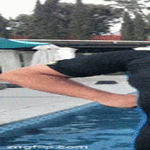 tadaa4.gif
