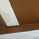 takas_sisälle.gif