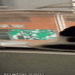 tarkkailija05.gif