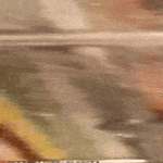 tartu_mikkiin.gif