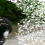 tasapainottelua5.gif
